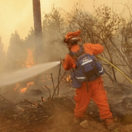 Incarcerated firefighters spray down a hotspot at the Rim Fire in the Stanislaus National Forest in California. U.S. Forest Service photo by Mike McMillan.