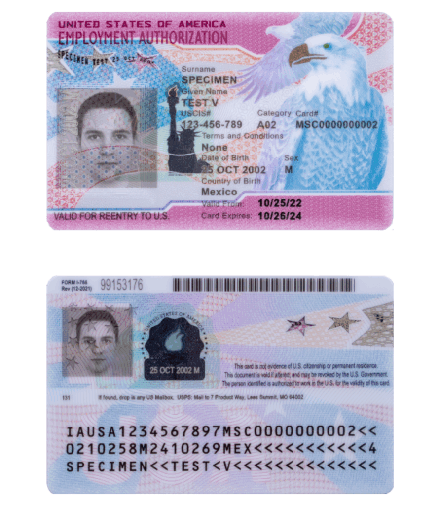 Example of work permit, or Employment Authorization Document (EAD)