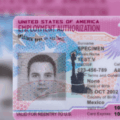 Cropped image of a work permit, or Employment Authorization Document or EAD