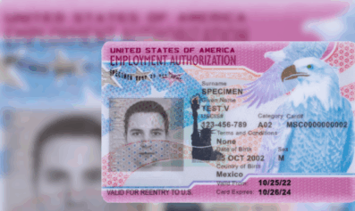Cropped image of a work permit, or Employment Authorization Document or EAD