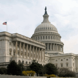 Wide-angle view of the United States Capitol building: the large neoclassical dome topped by a statue rises center-right, with the columned east facade extending left across the frame. Two American flags fly on flagpoles above the building. Foreground shows trees and low landscaping, and the sky is pale and overcast.